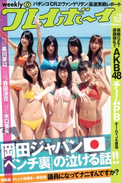 风都侦探
